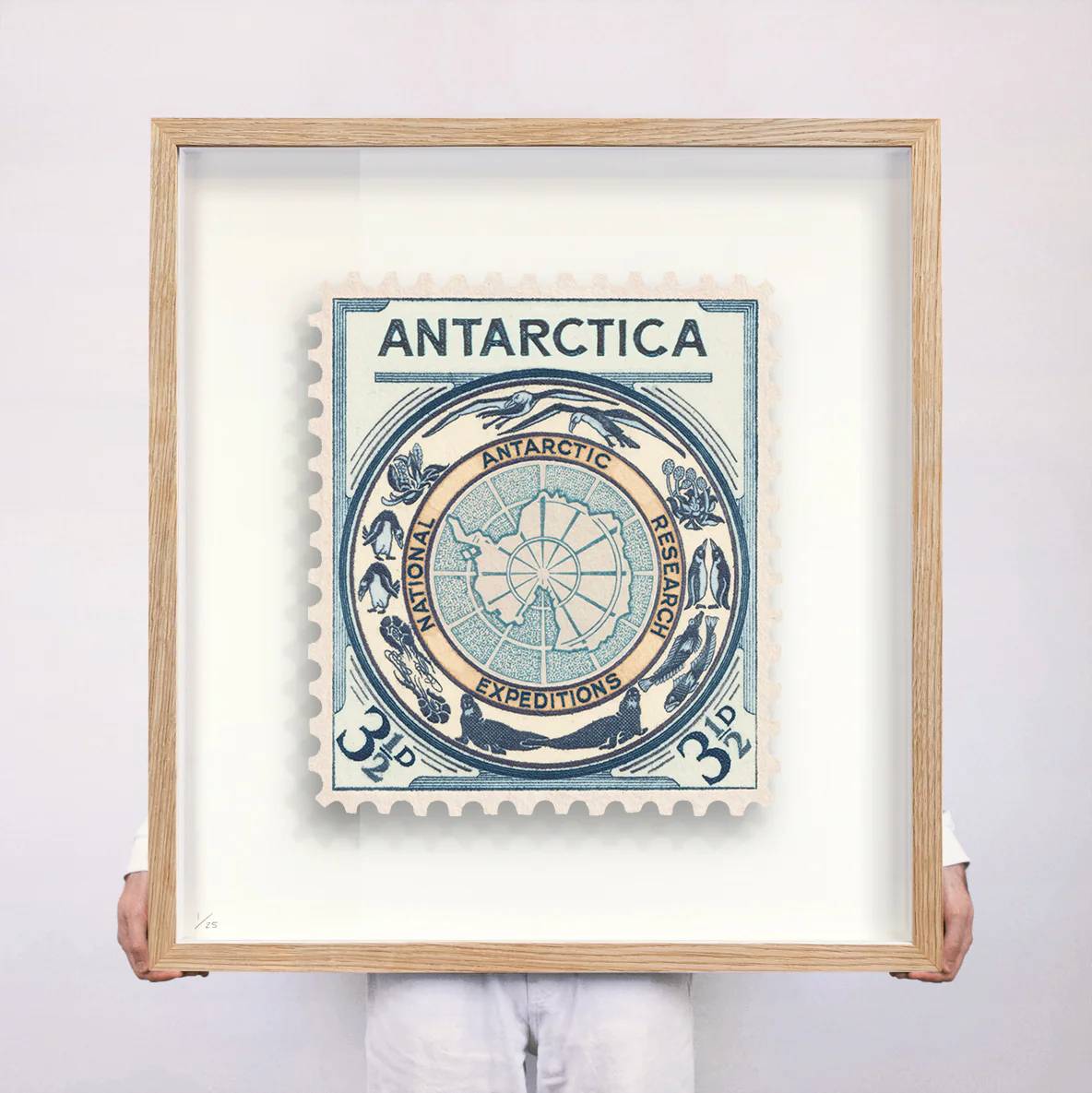 ANTARCTICA - Image 11