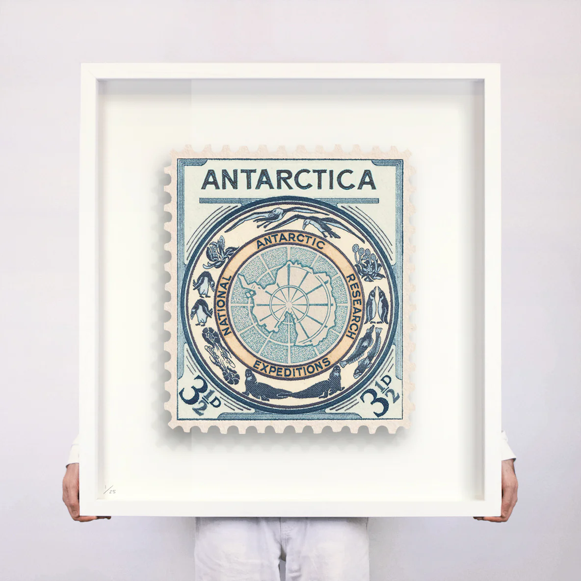 ANTARCTICA - Image 4