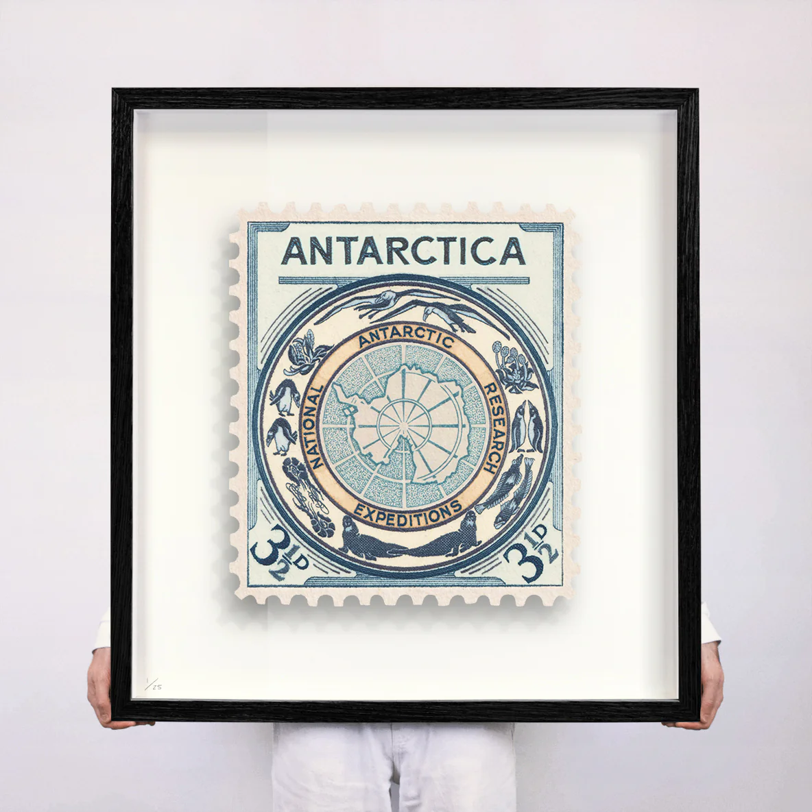 ANTARCTICA - Image 9