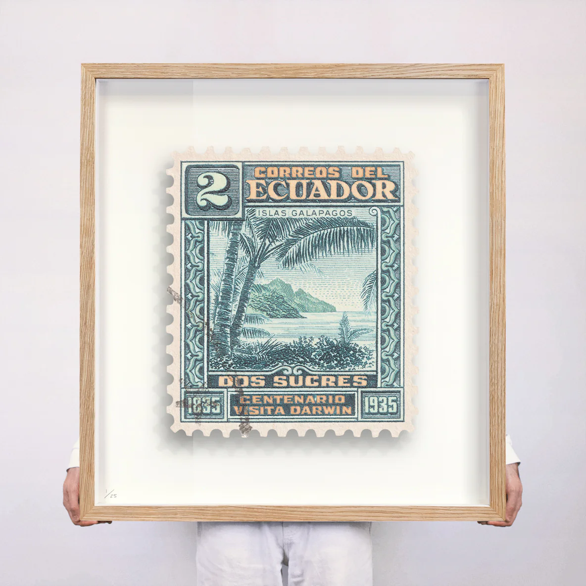 ECUADOR - Image 11