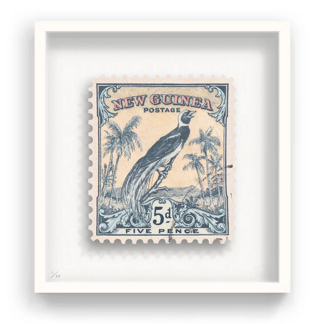 NEW GUINEA